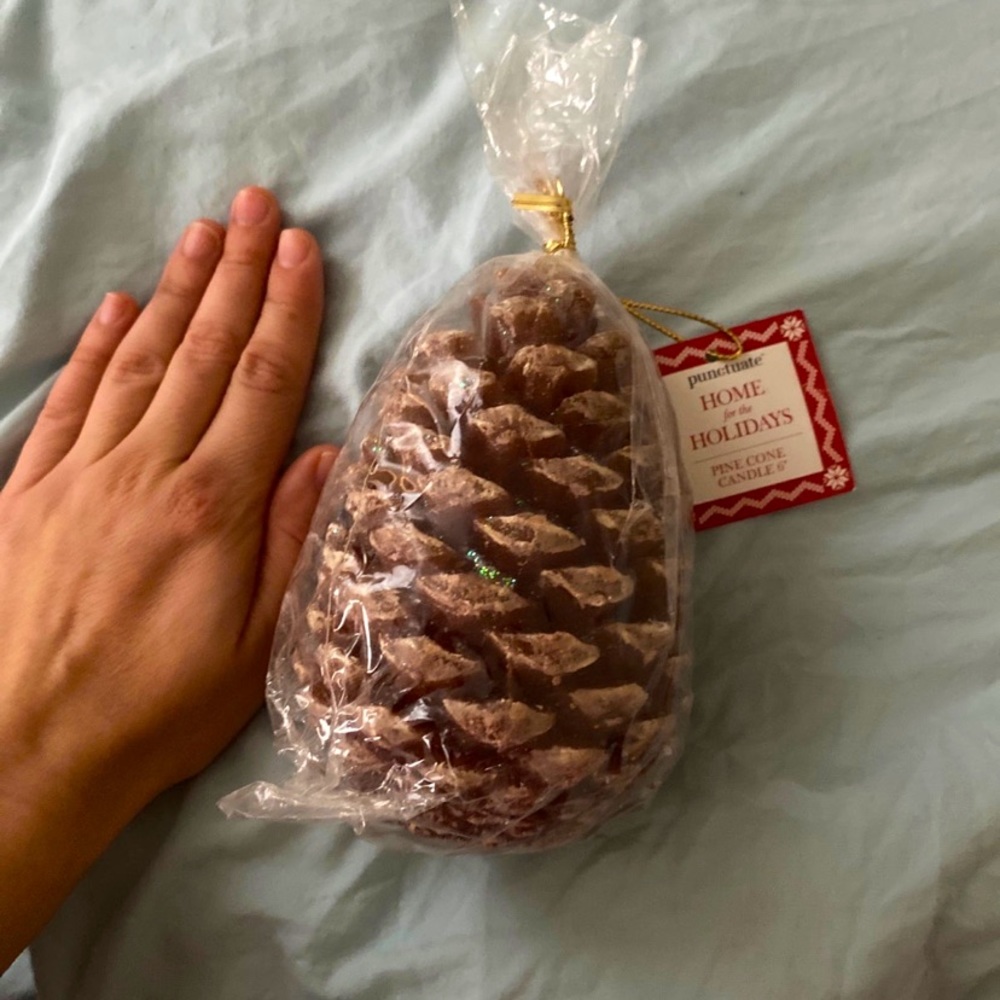 NWT candle adorable pine cone